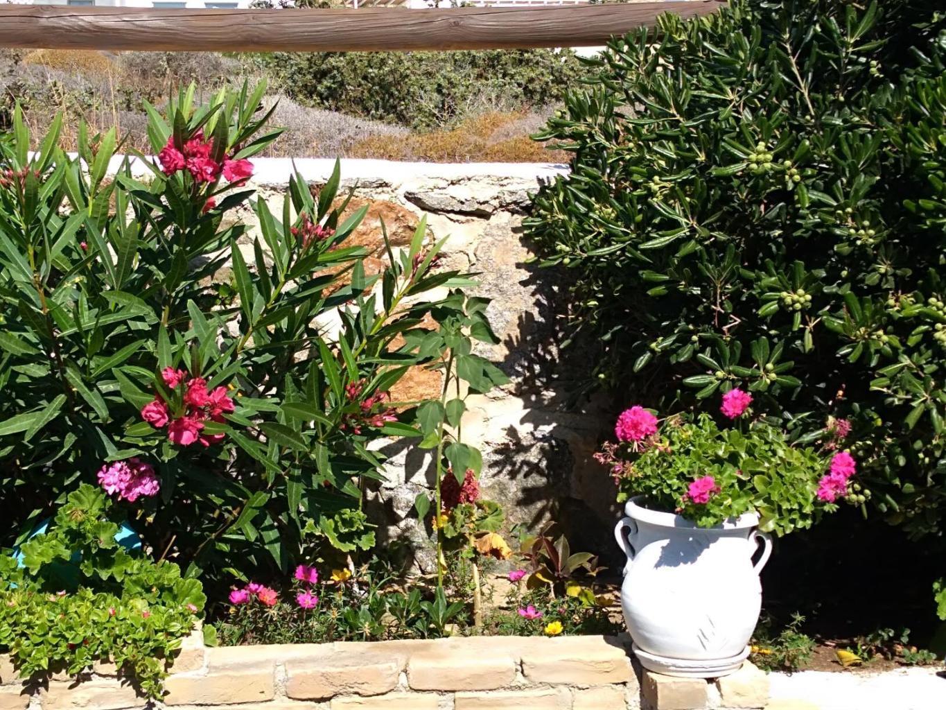 Delight Apartments Suites Stelida (Naxos) Exterior foto
