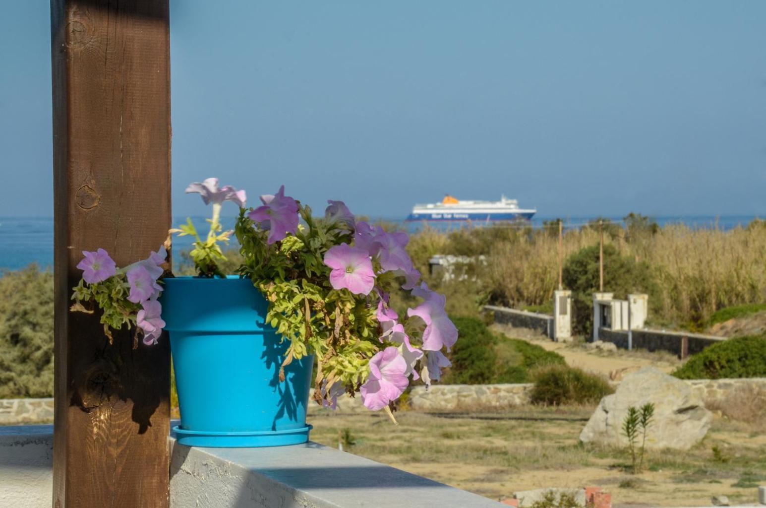 Delight Apartments Suites Stelida (Naxos) Exterior foto